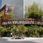 The Dallas World Aquarium