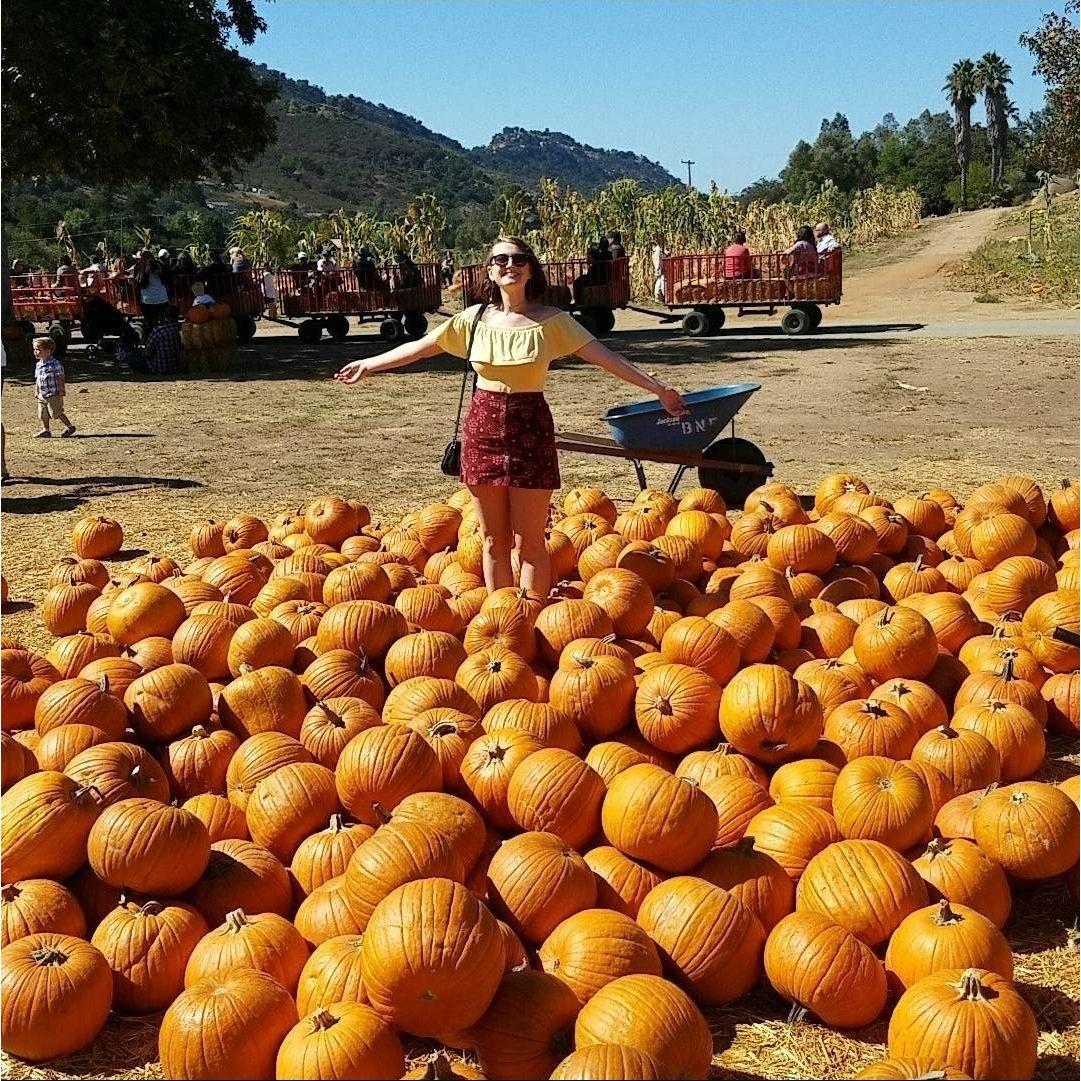 Didn't even buy a pumpkin (2017)