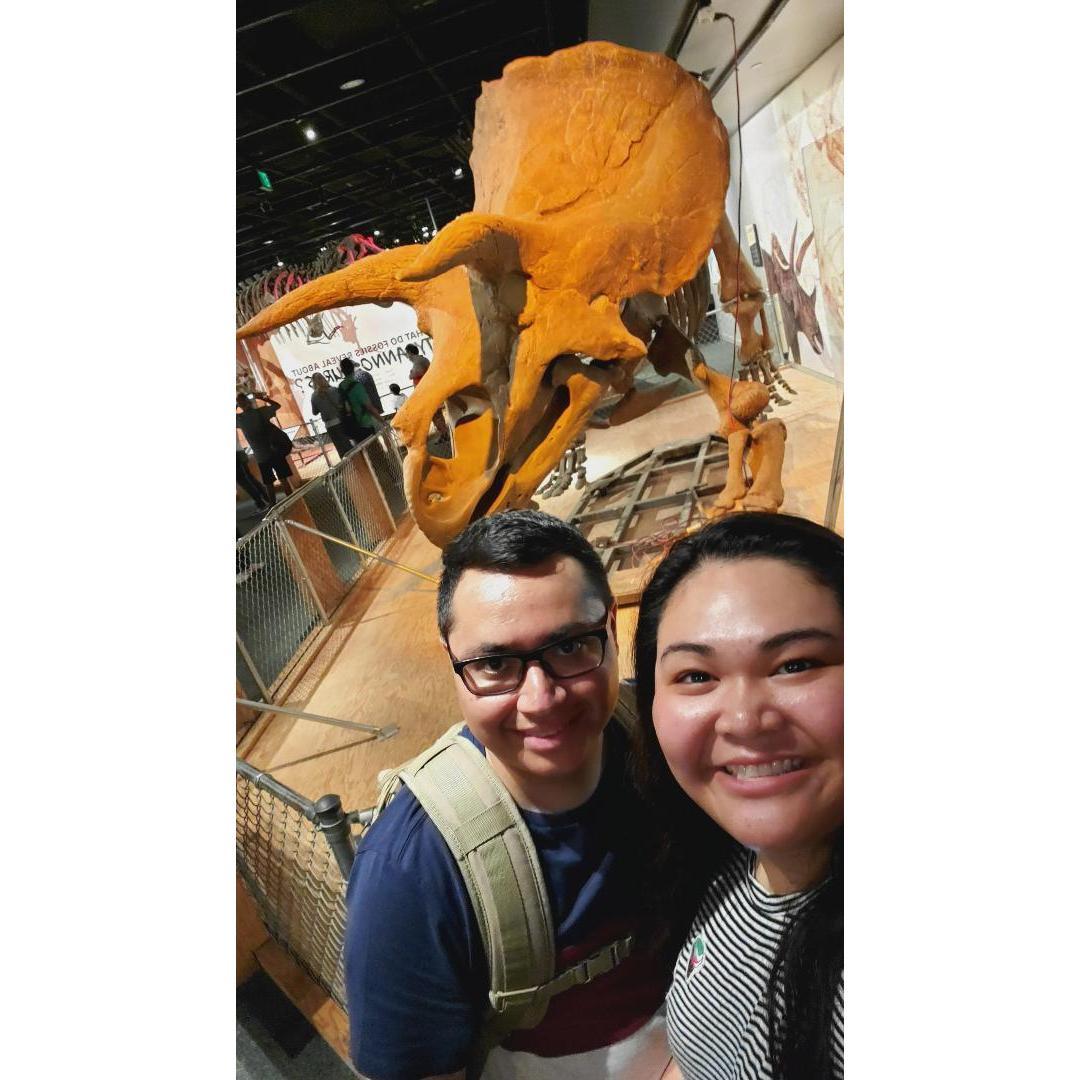 She's looking DINOmite!