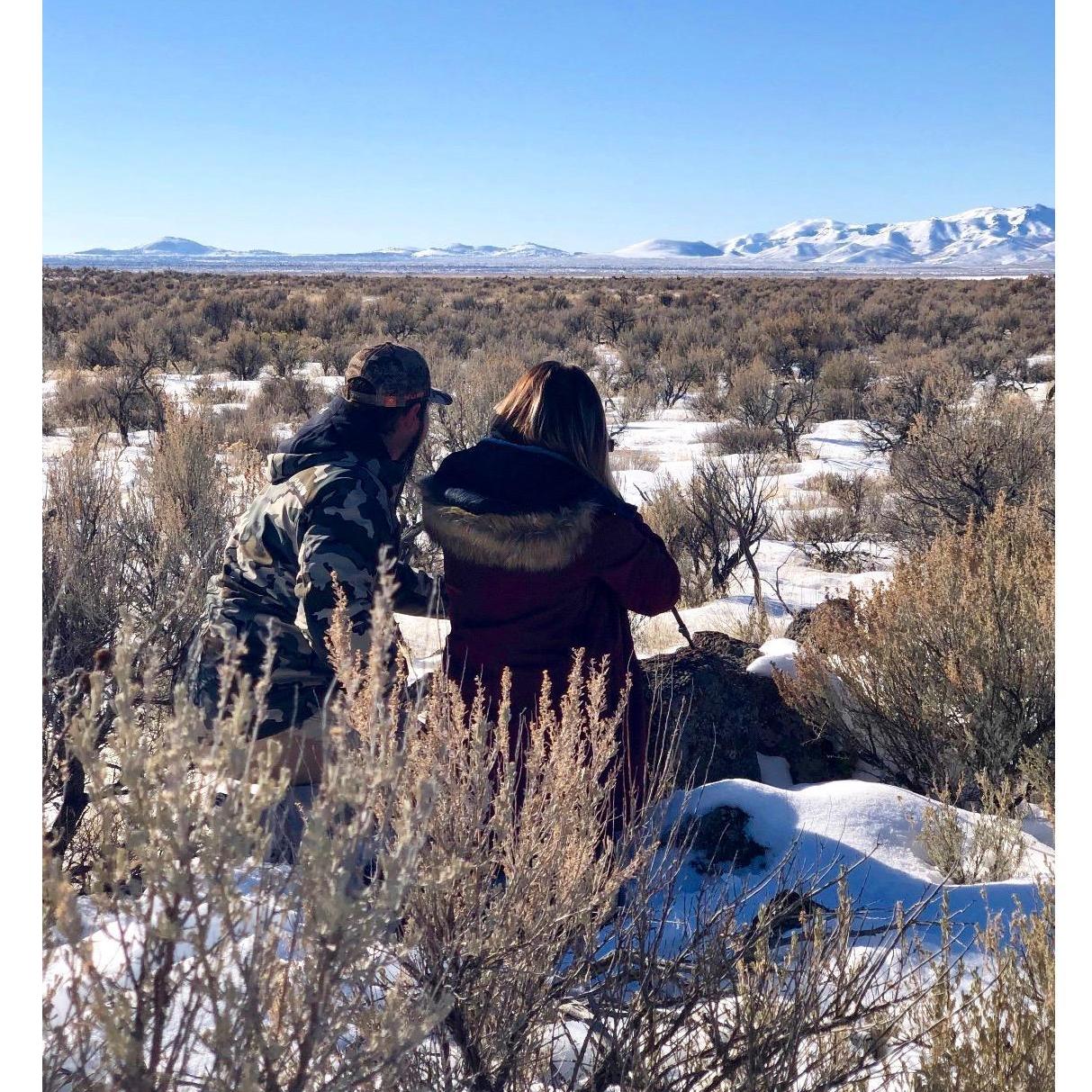 Scouting for elk