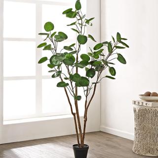 Faux Polyscias Potted Tree