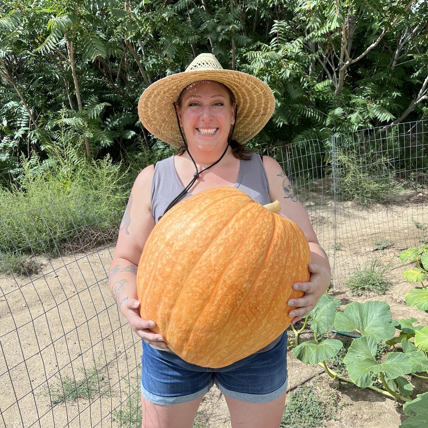 The 46.2lbs pumpkin we also grew Summer of 2024