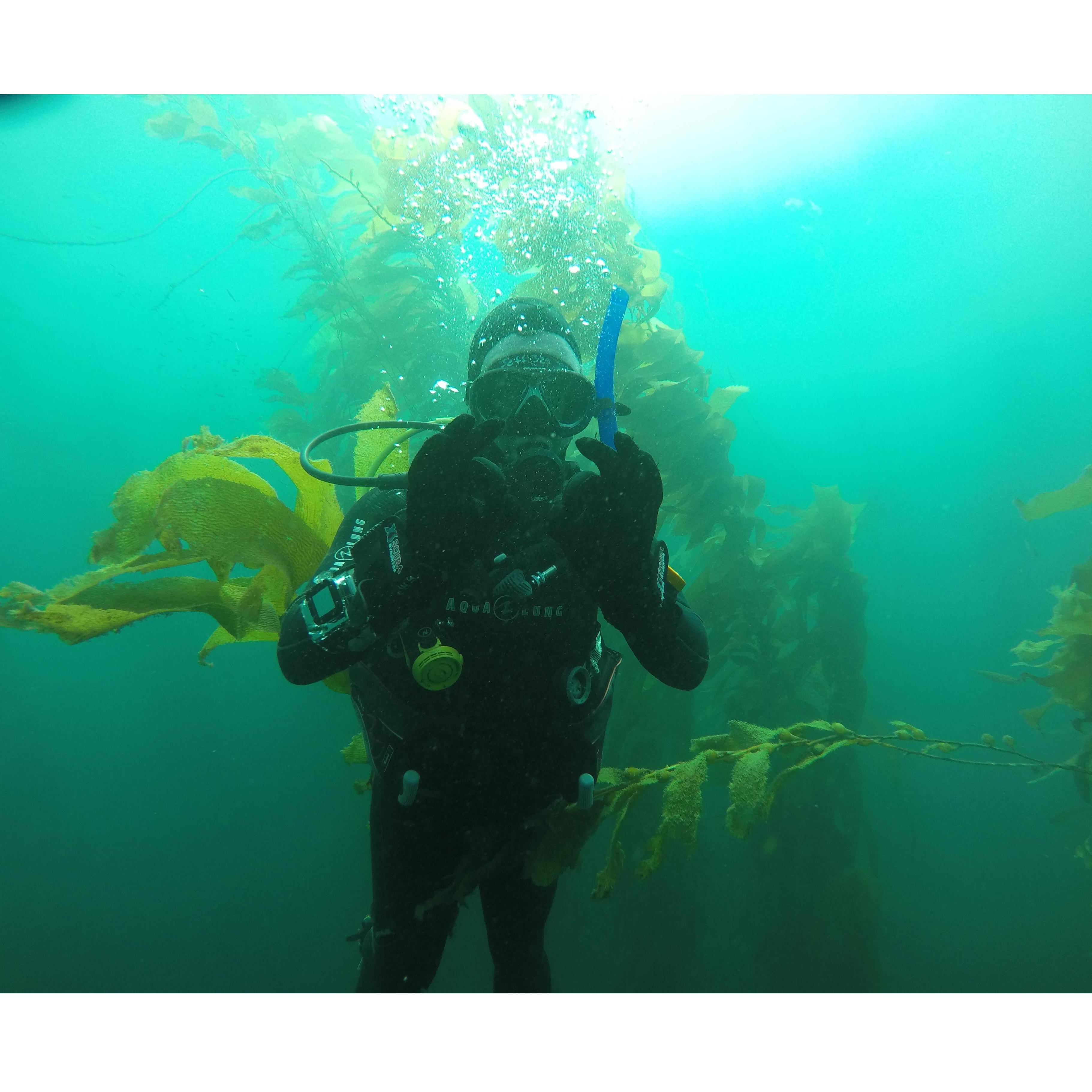 We scuba dive together!