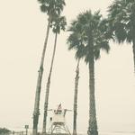 Hendry's Beach