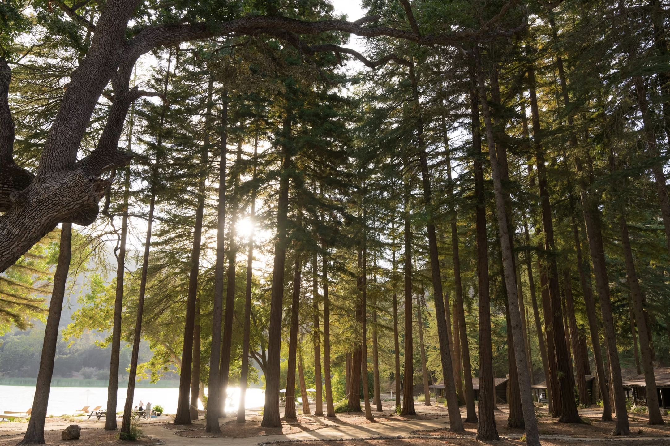 The Wedding Website of Caleb Marll and Kat Smith