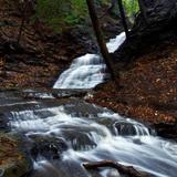 Chestnut Ridge Park