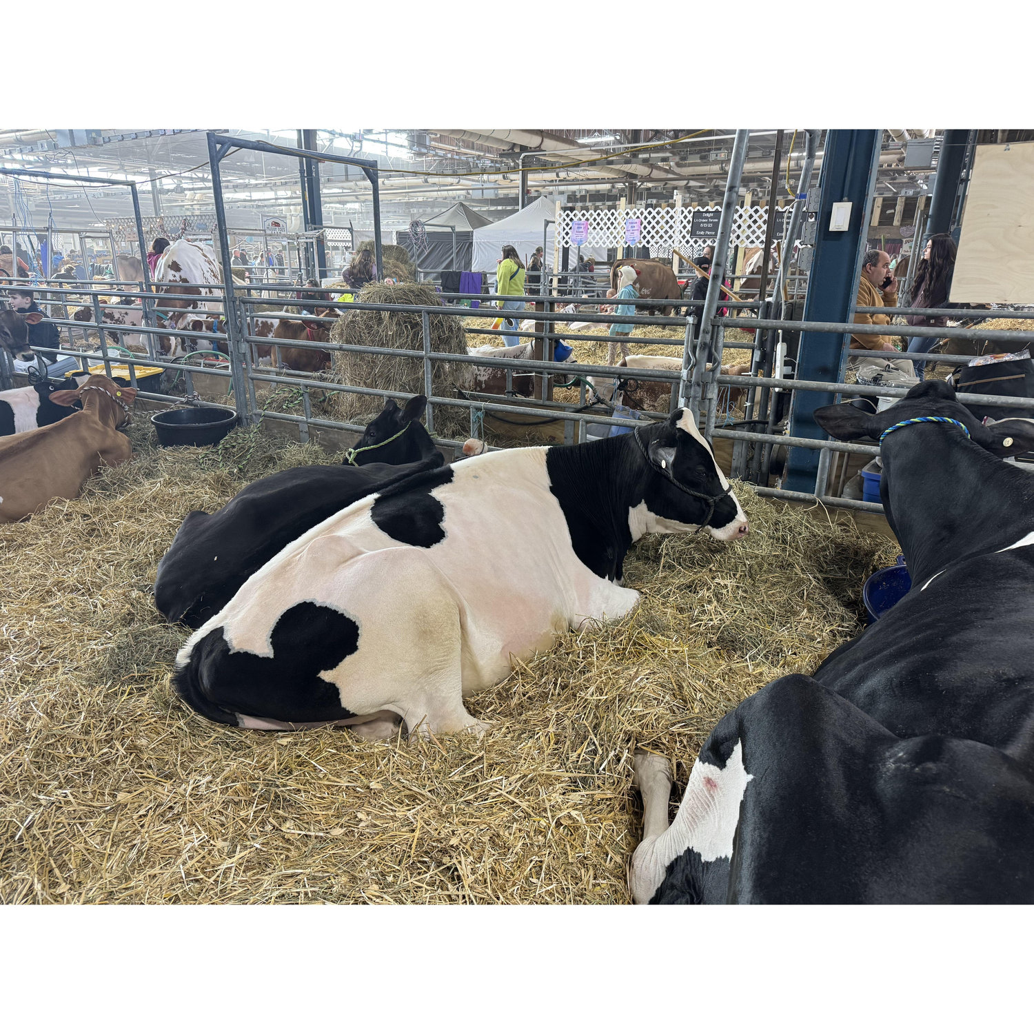 PA Farm show