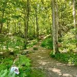 Pequot Trails