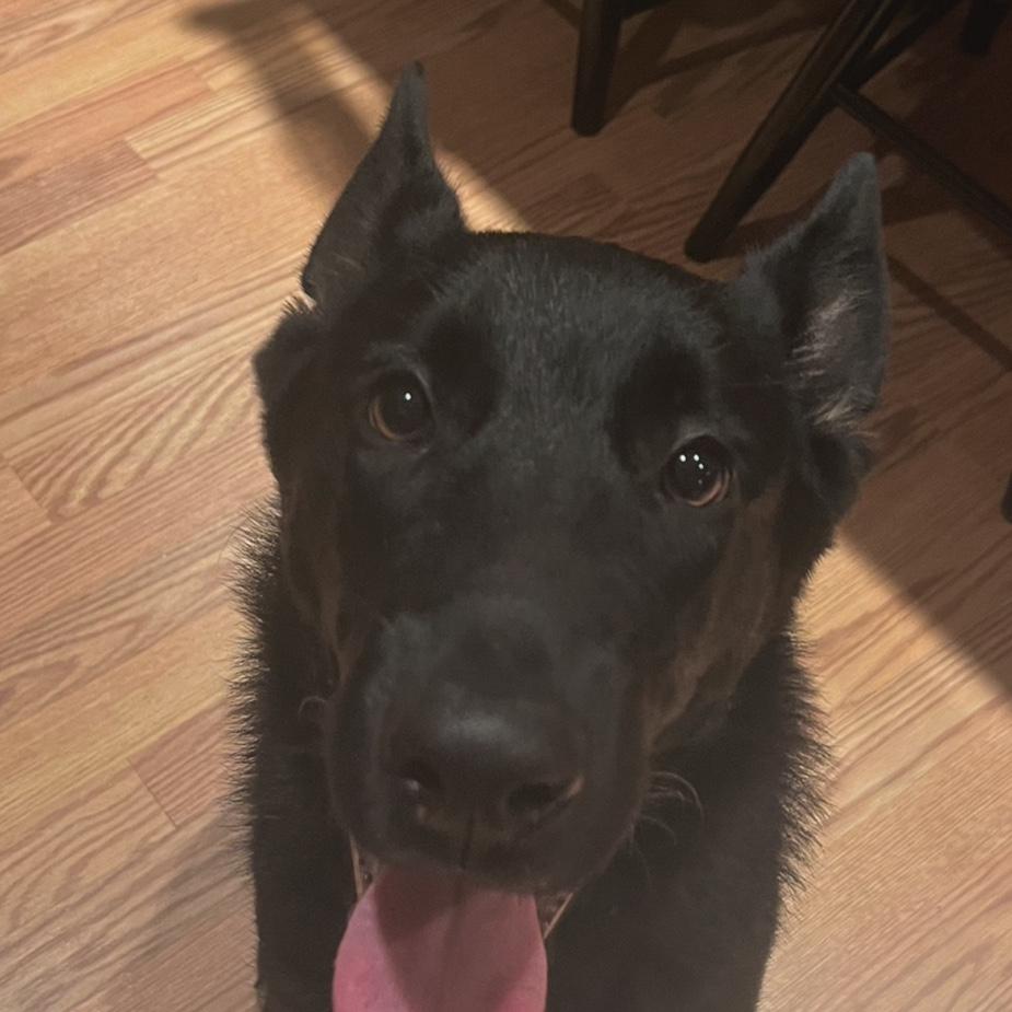 Heineken loves pictures!
