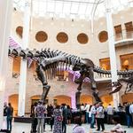 Fernbank Science Center