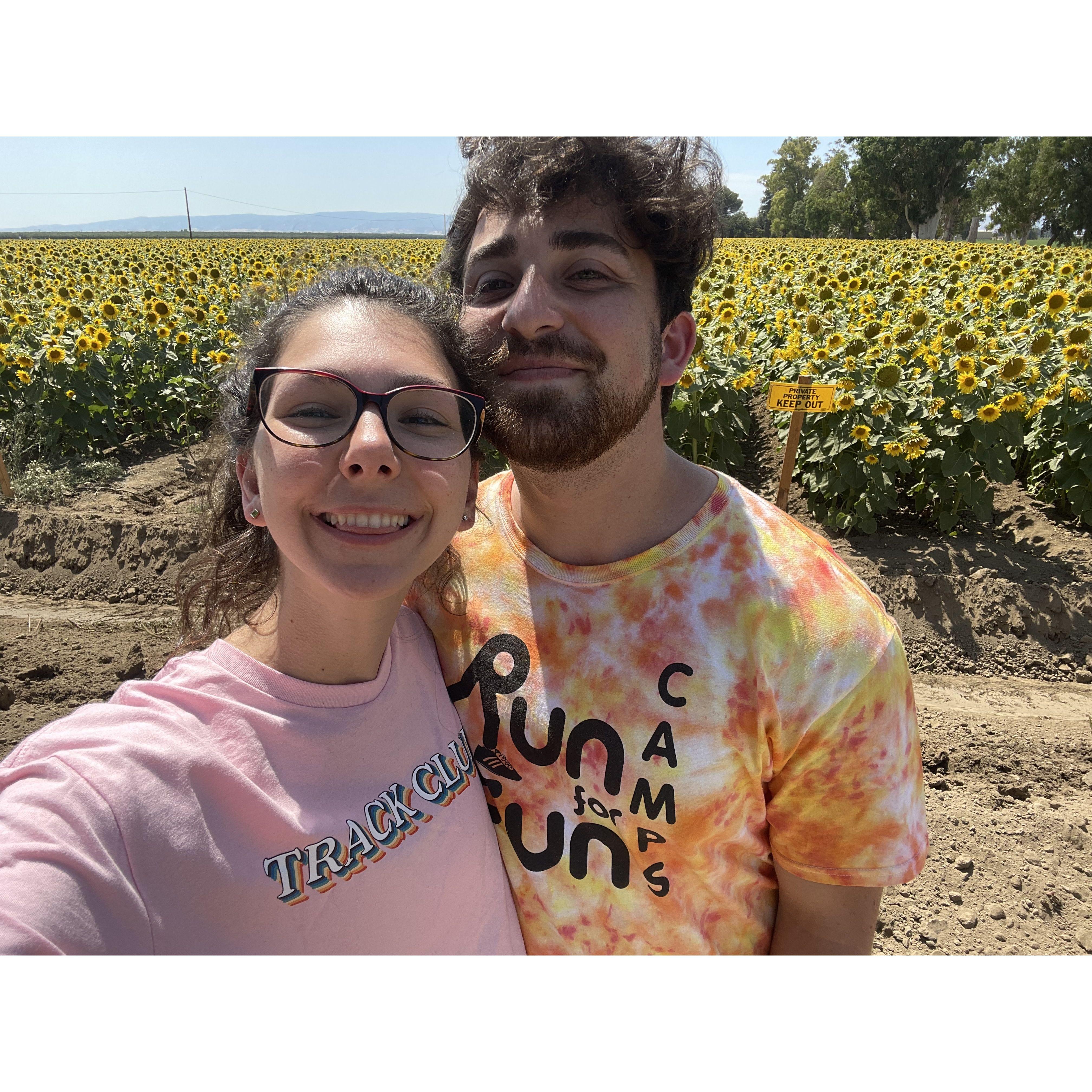 July 2021 - sunflowers :)