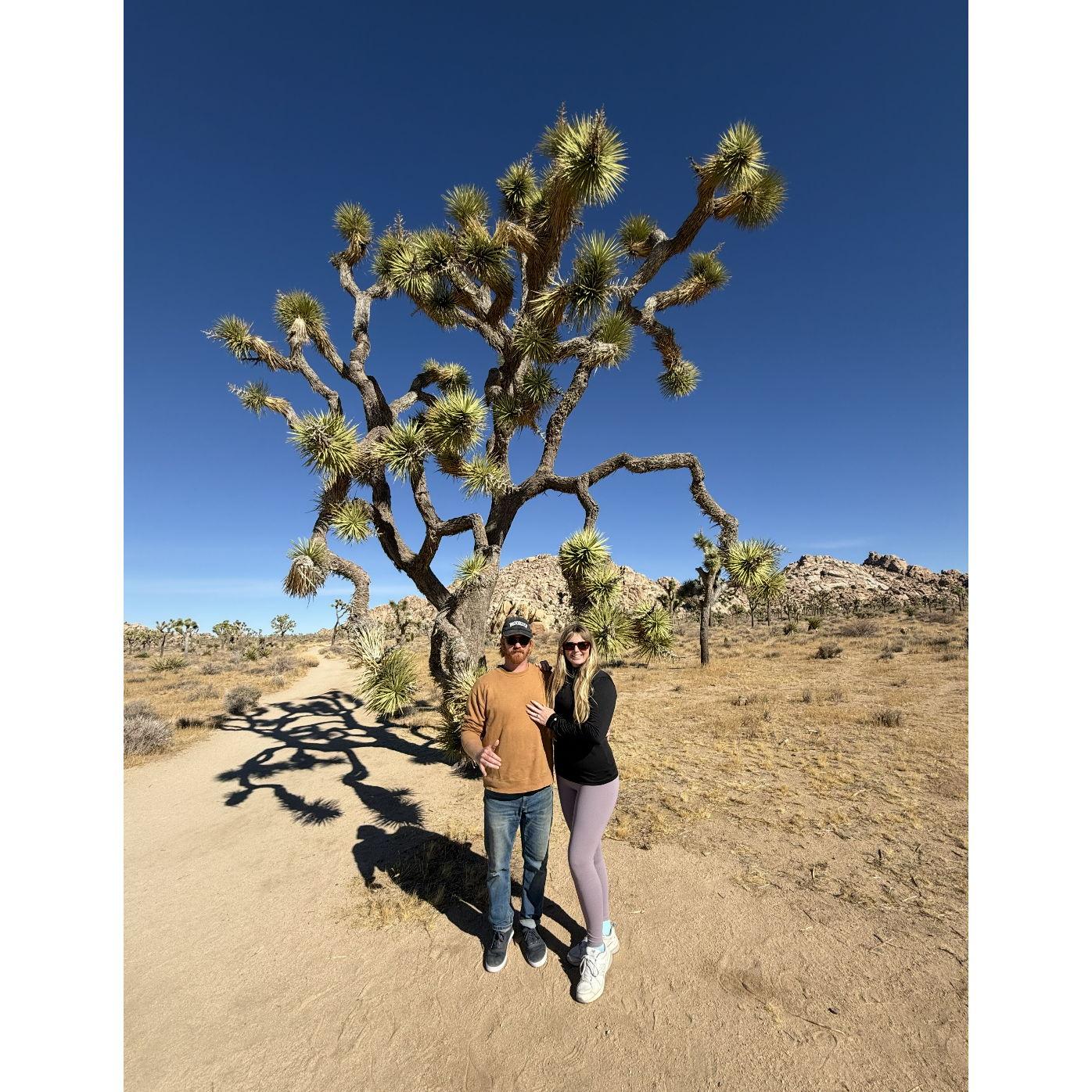 The newly engaged couple at Joshua Tree National Park