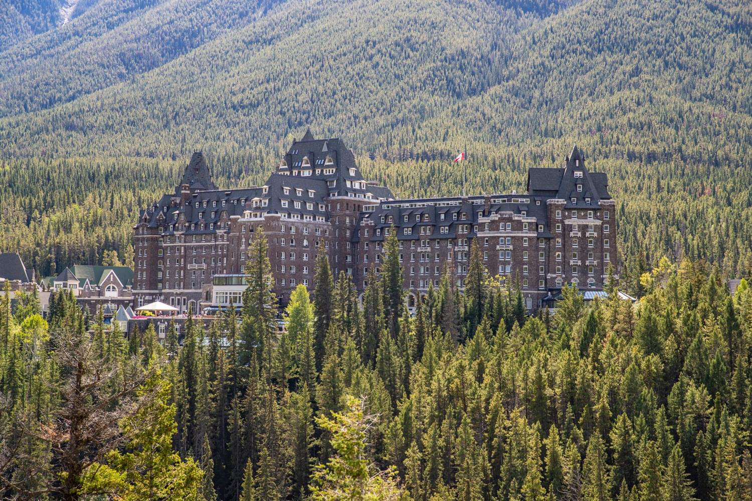 The Wedding Website of Nicole Siino and Craig Cole