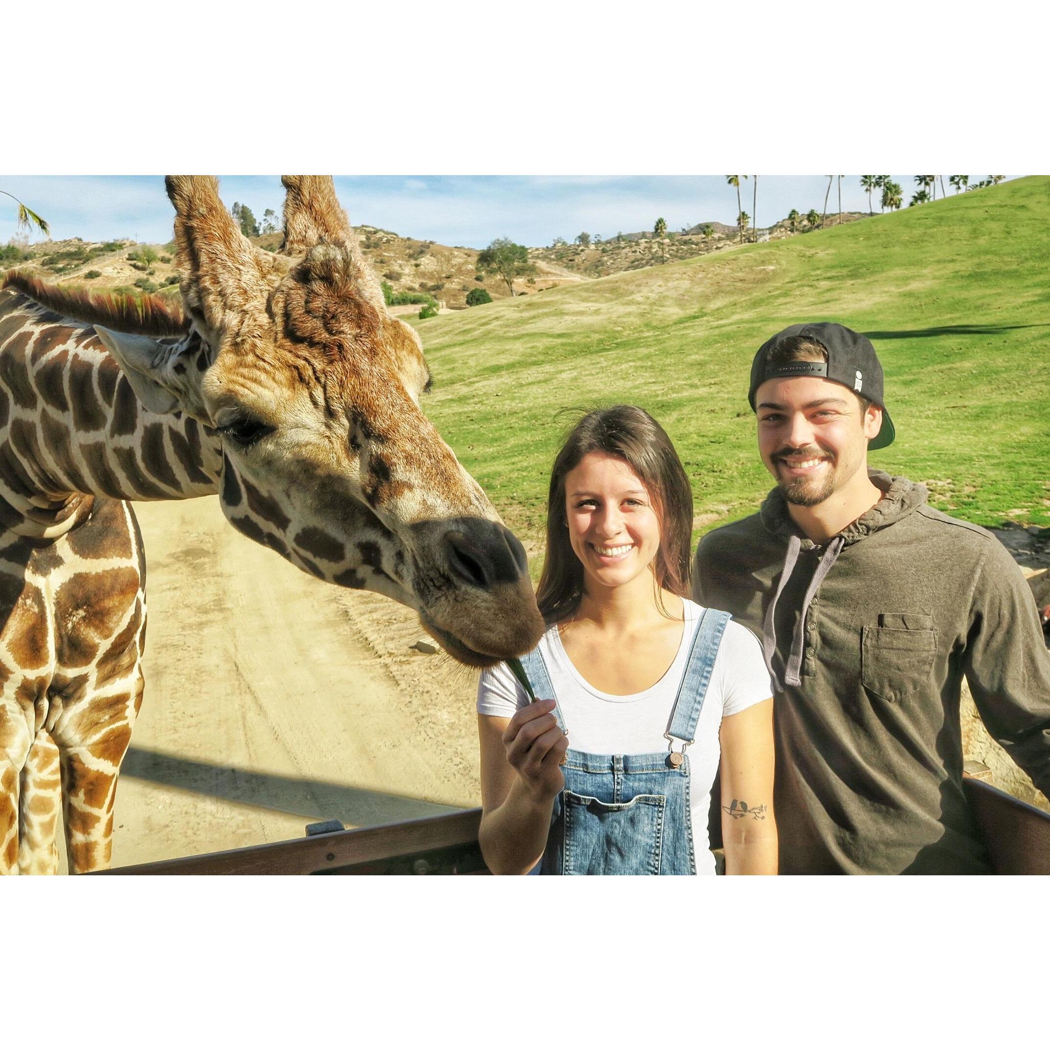 Jan. 14th, 2018: Feeding the giraffes! What an awesome experience.