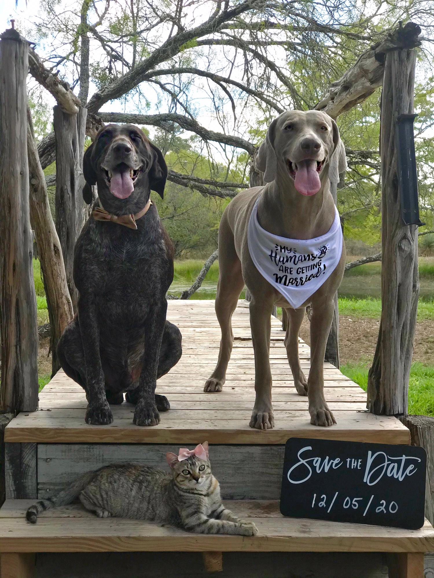 Opie, Riley & River 🧡
