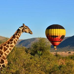 Hot Air Balloon Ride