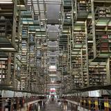 Biblioteca Vasconcelos