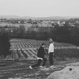 Arrington Vineyards