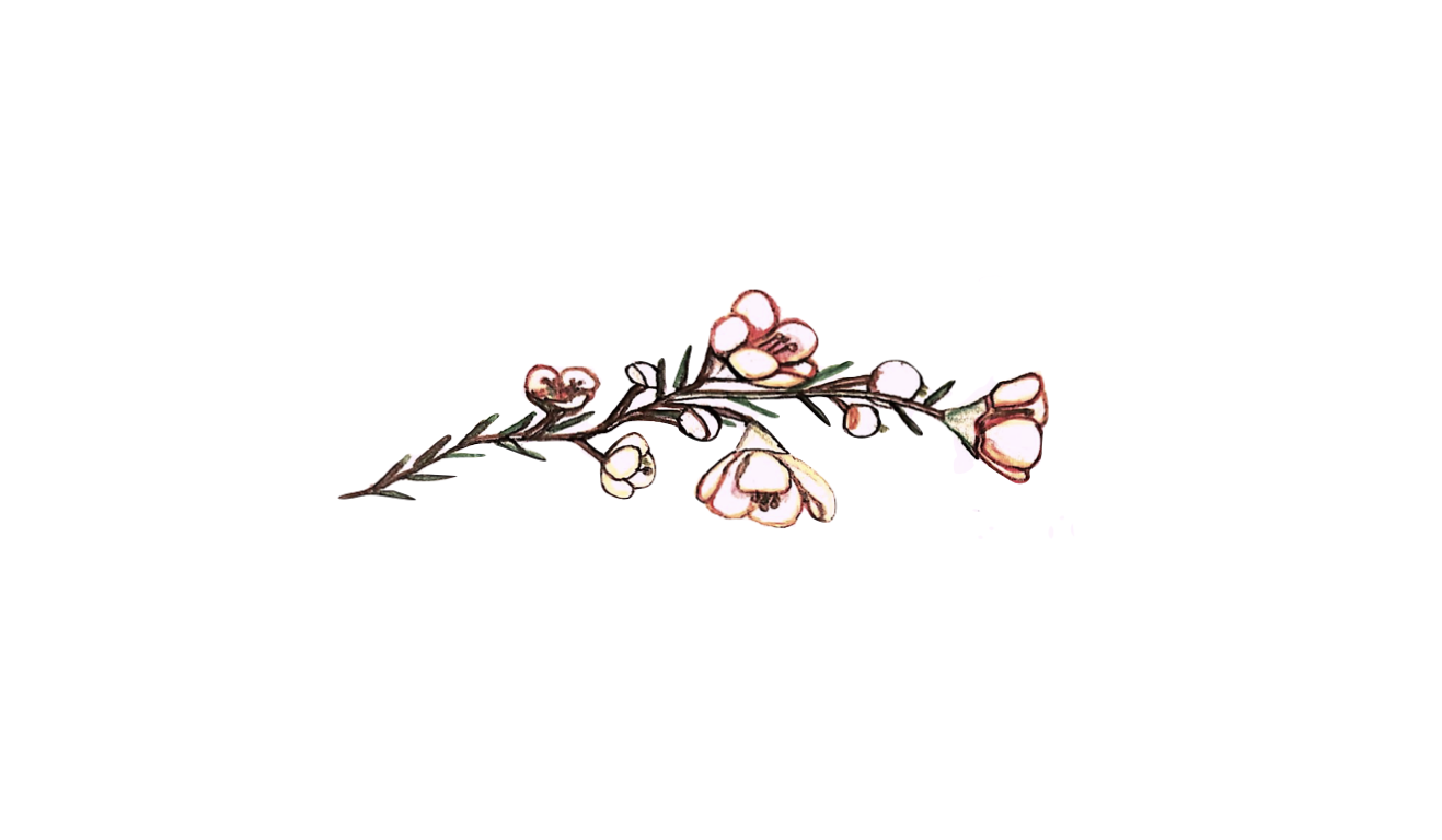 Footer image