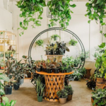 Fancy Free Nursery