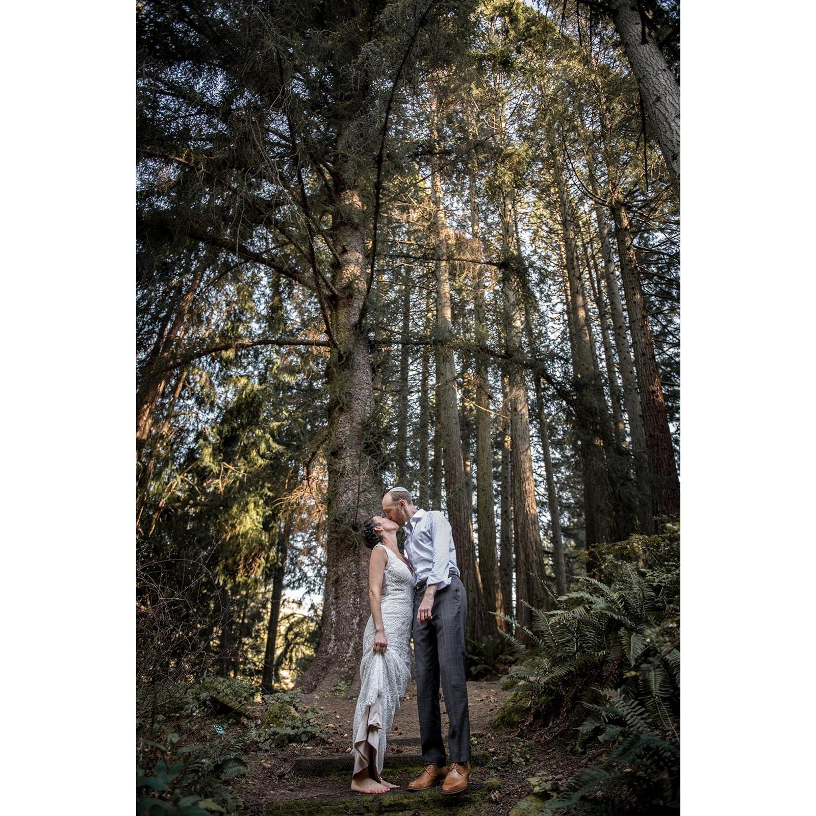 During our Yichud under the redwoods, our first moments together as a married couple
