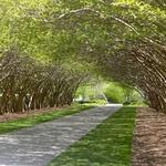 The Dallas Arboretum and Botanical Garden