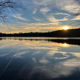 Jamaica Pond