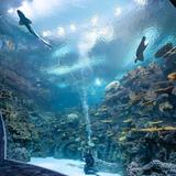 Seattle Aquarium