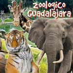 Zoologico Guadalajara