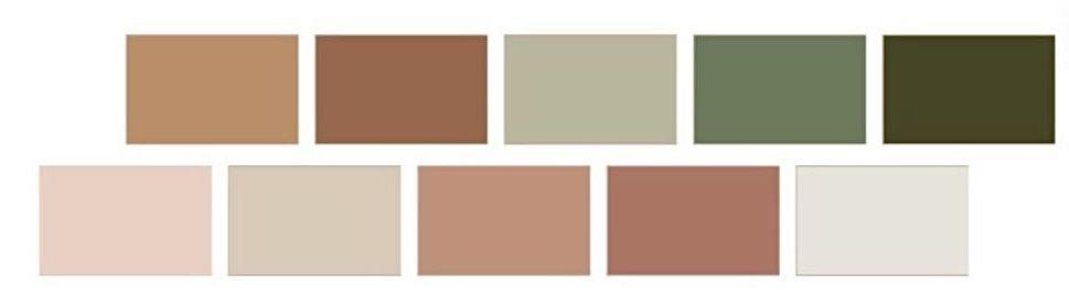 The Wedding Website of Diana Bachkala and William Nikita