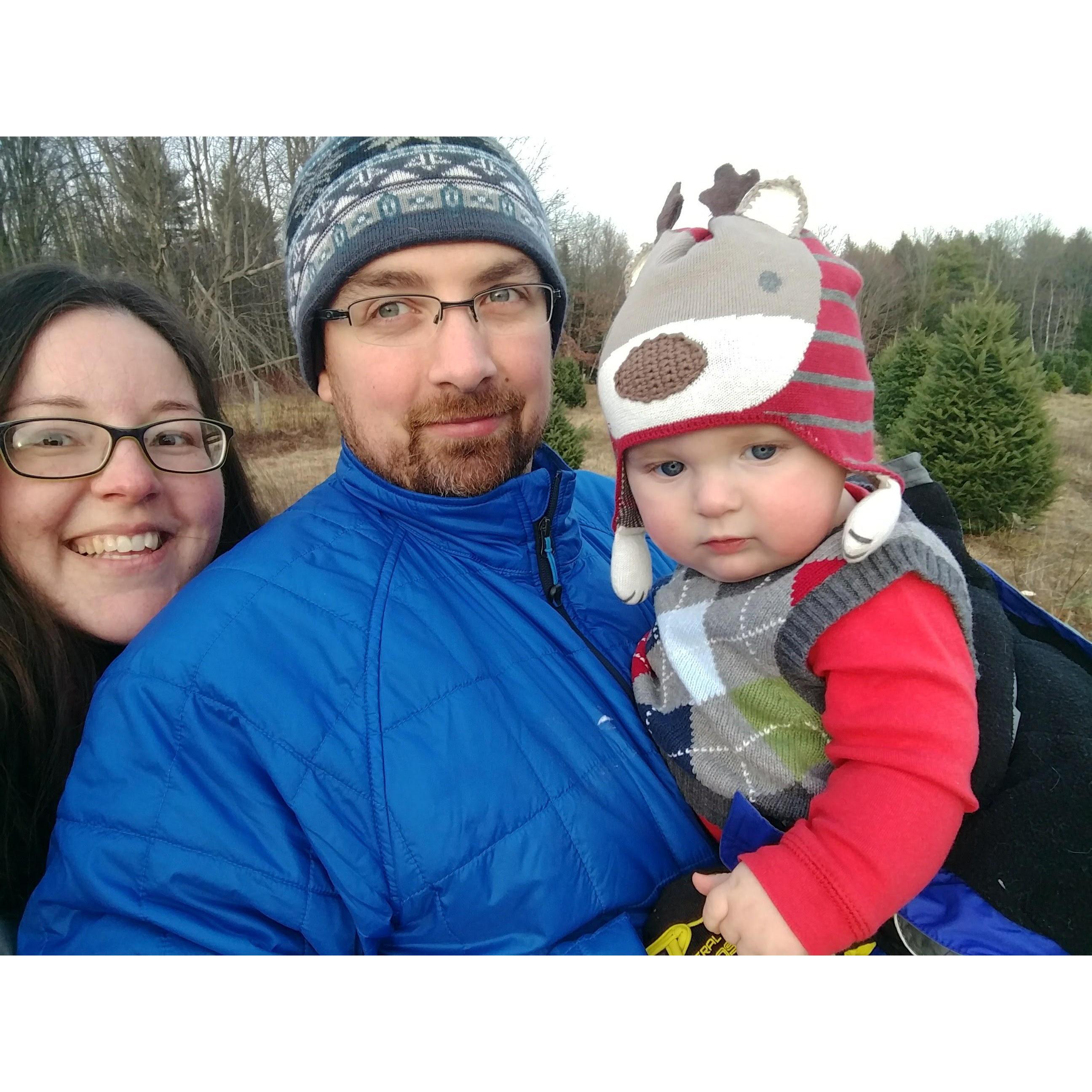 Looking for Luc's first Christmas Tree November 2017
