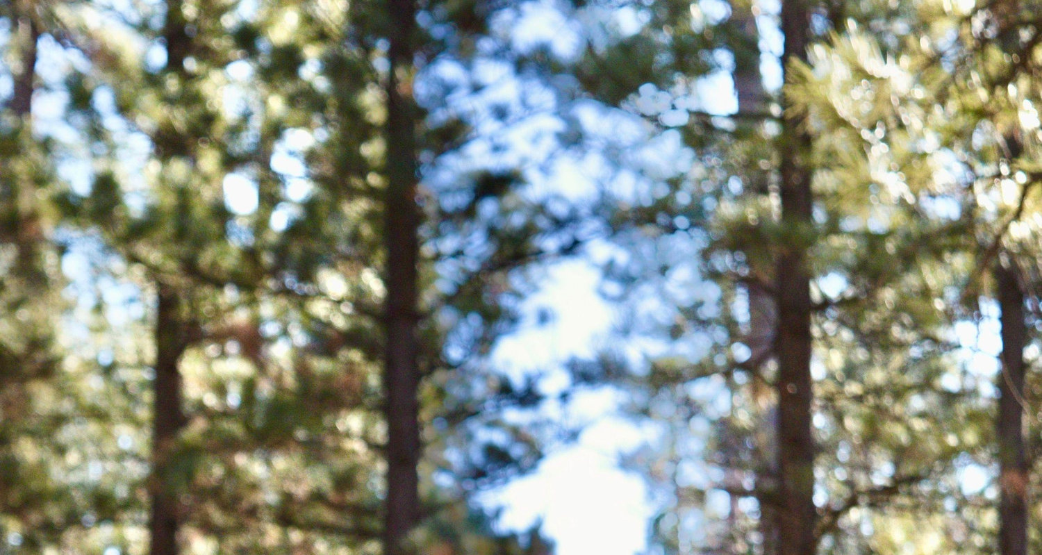The Wedding Website of Danika Heaton and Jacob Michael