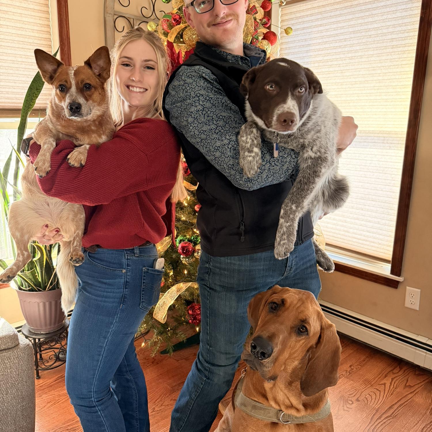 Our fur babies, Beau, Winnie, and Briggs