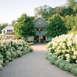 Charlottesville Wineries