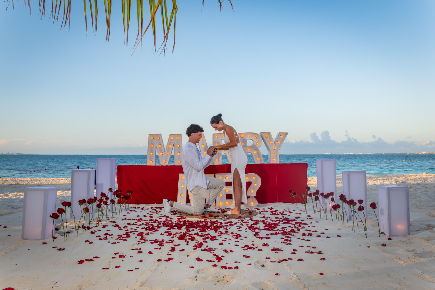 The Wedding Website of Sabrina Tylka and David Dzieszuta