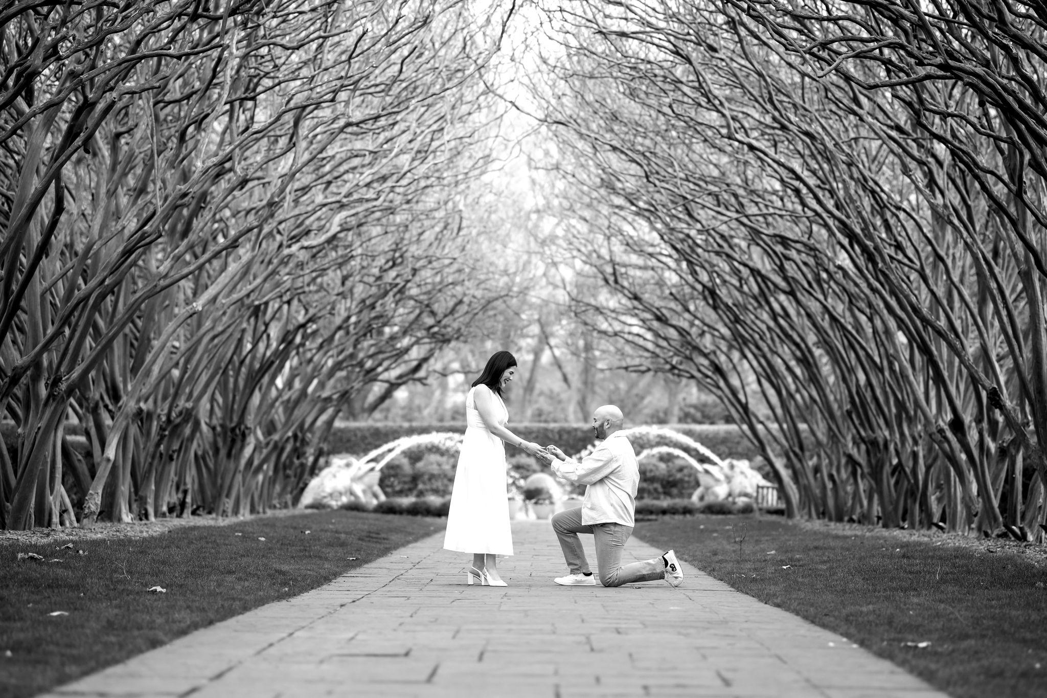 The Wedding Website of Isabella Vicuña and Pedro Planchart
