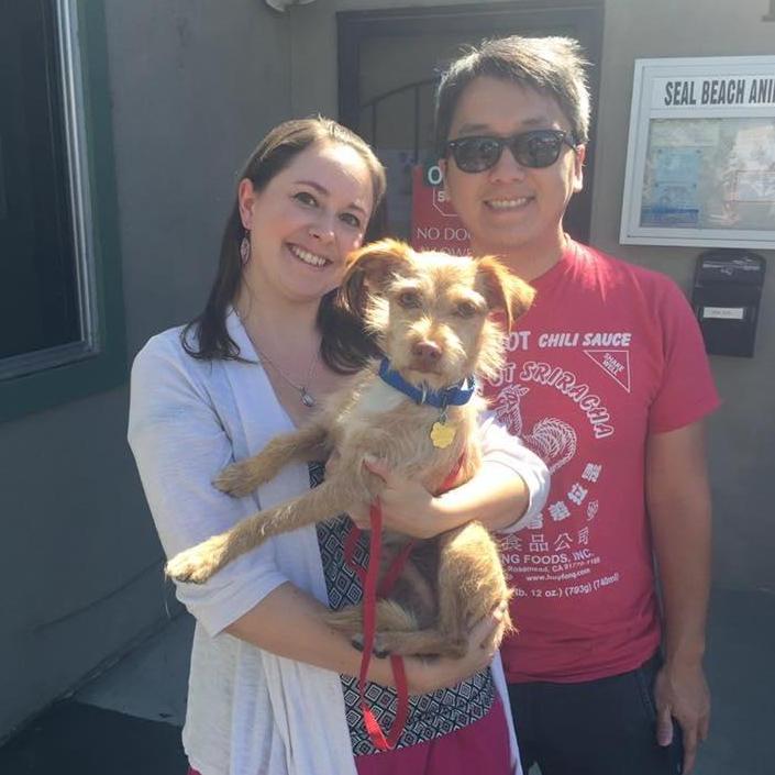 Tornado was another one of our rescues who found his forever home!