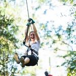 Tree to Tree Adventure Park