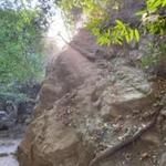 Millard Canyon Creek