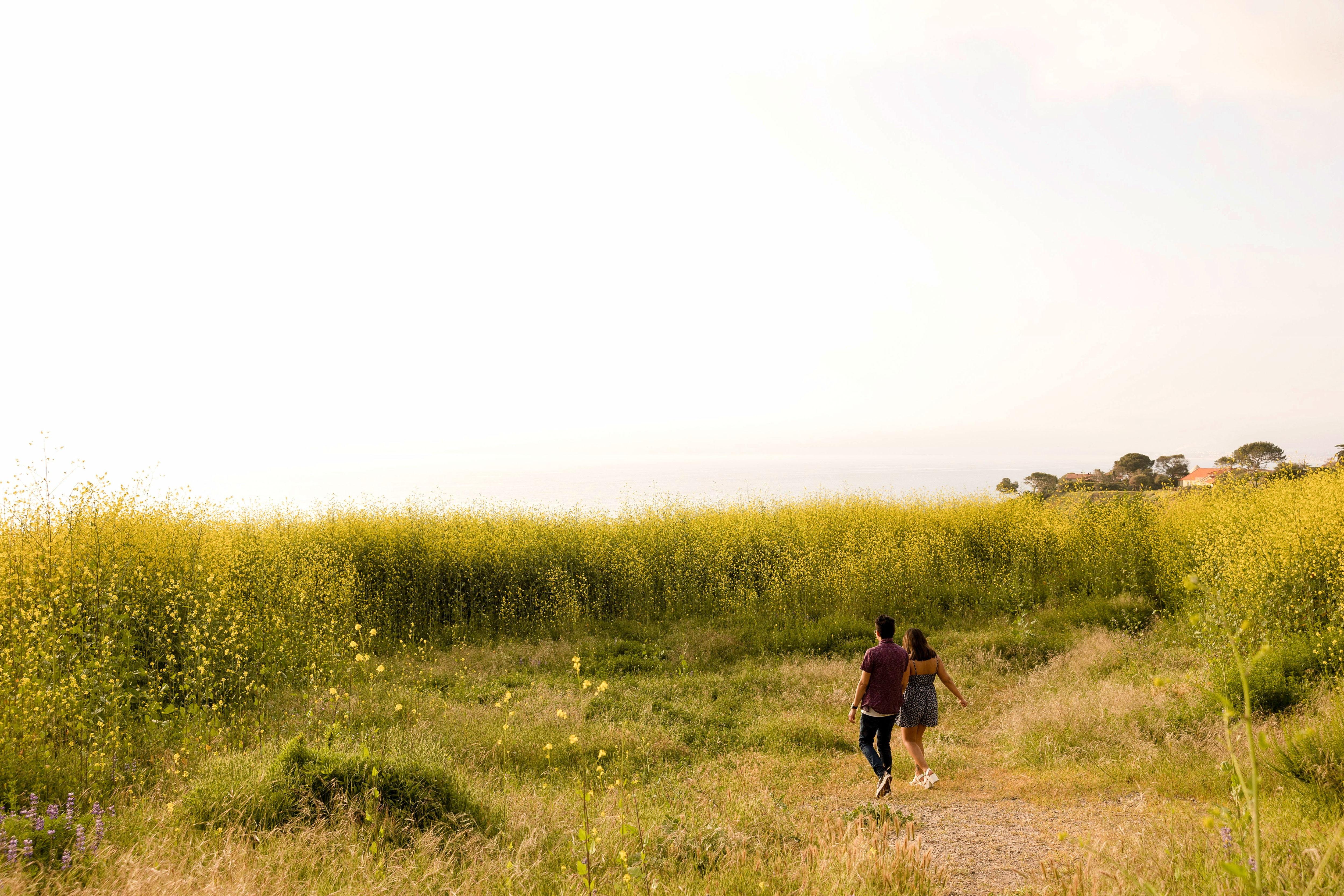 352372af-985c-49c4-a23b-7bab6ae10394