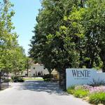 Wente Vineyards Tasting Lounge