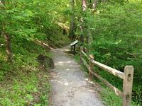 Fieldale Trail