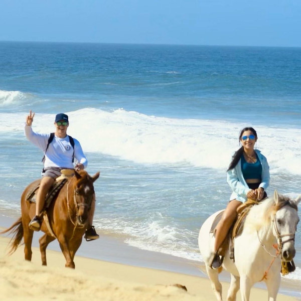 Cabo Mexico Honeymoon Fund