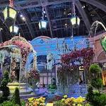 Bellagio Conservatory & Botanical Gardens