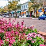 Winter Park