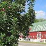 Long Family Orchard, Farm & Cider Mill