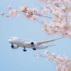 Roundtrip Tickets to Japan