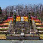 Tulsa Botanic Garden