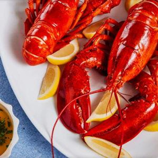 Lobster Dinner In Maine