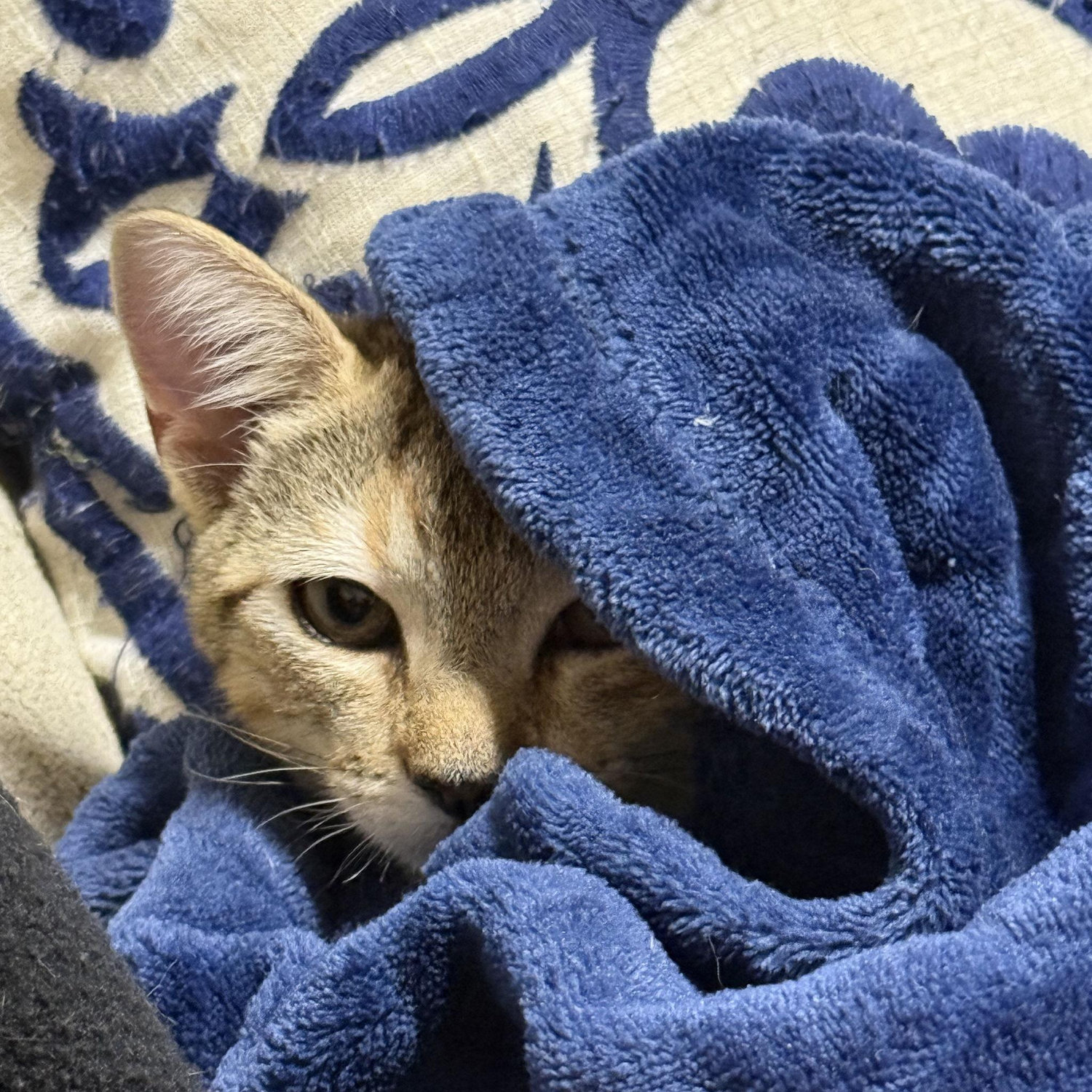 One of the twins post nap.